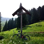 Tschudiboden *