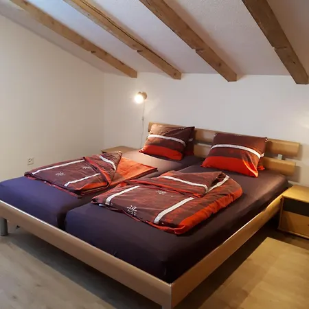 Tschudiboden Apartmán *