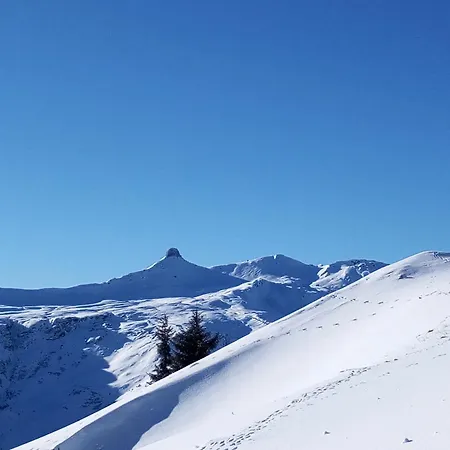 Apartament Tschudiboden *