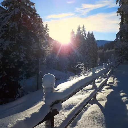Apartament Tschudiboden Flumserberg
