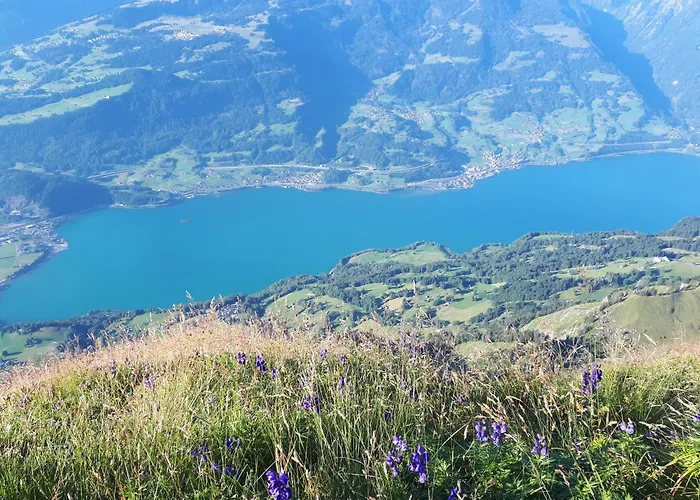 Tschudiboden Apartament Flumserberg