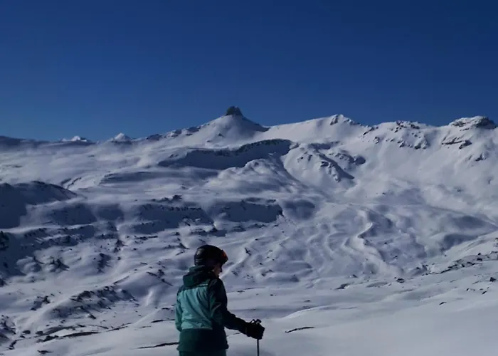 Apartment Tschudiboden *