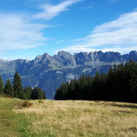 Tschudiboden Lejlighed