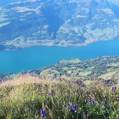 Tschudiboden Lejlighed Flumserberg