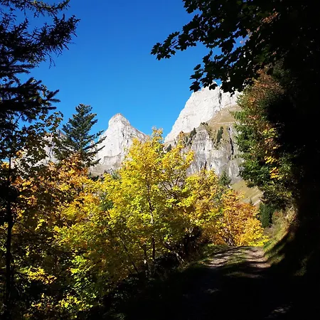 Appartamento Tschudiboden