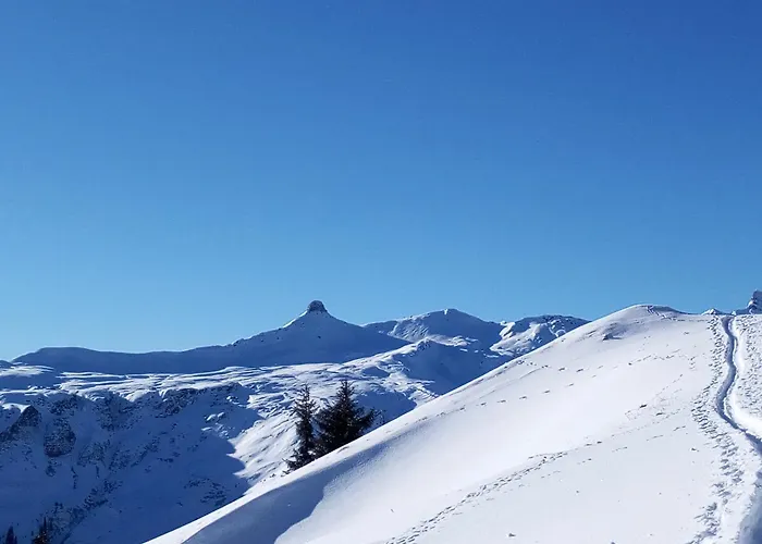 Appartamento Tschudiboden *