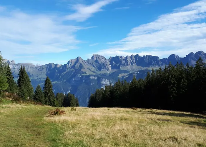 Tschudiboden Appartamento